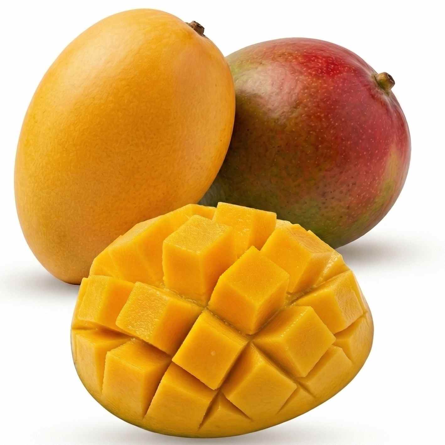 ALIBARBAR Ingot 9000 | The Gold Standard of Disposable Vaping