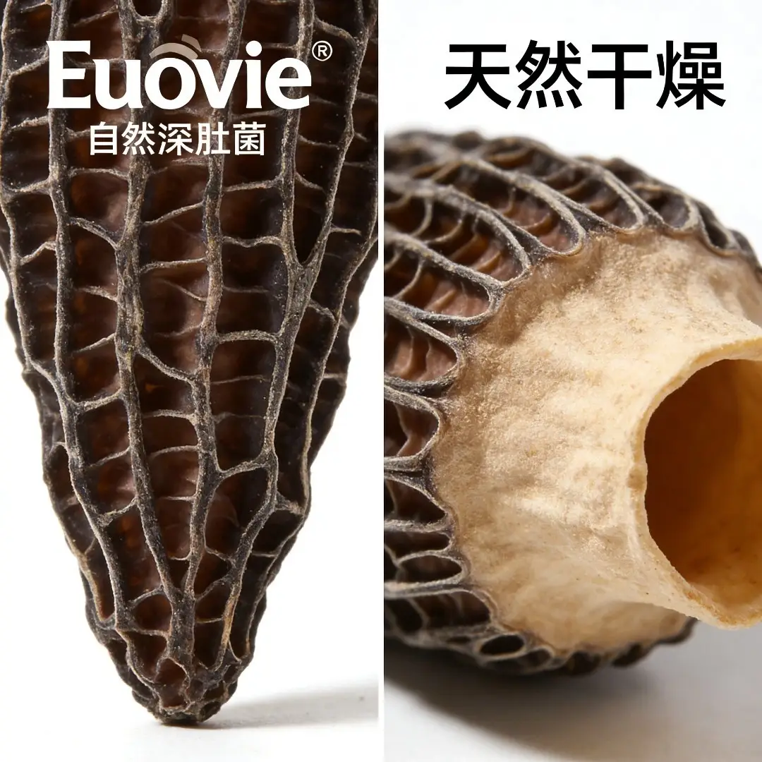 無硫羊肚菌挑選技巧-天然乾燥特寫