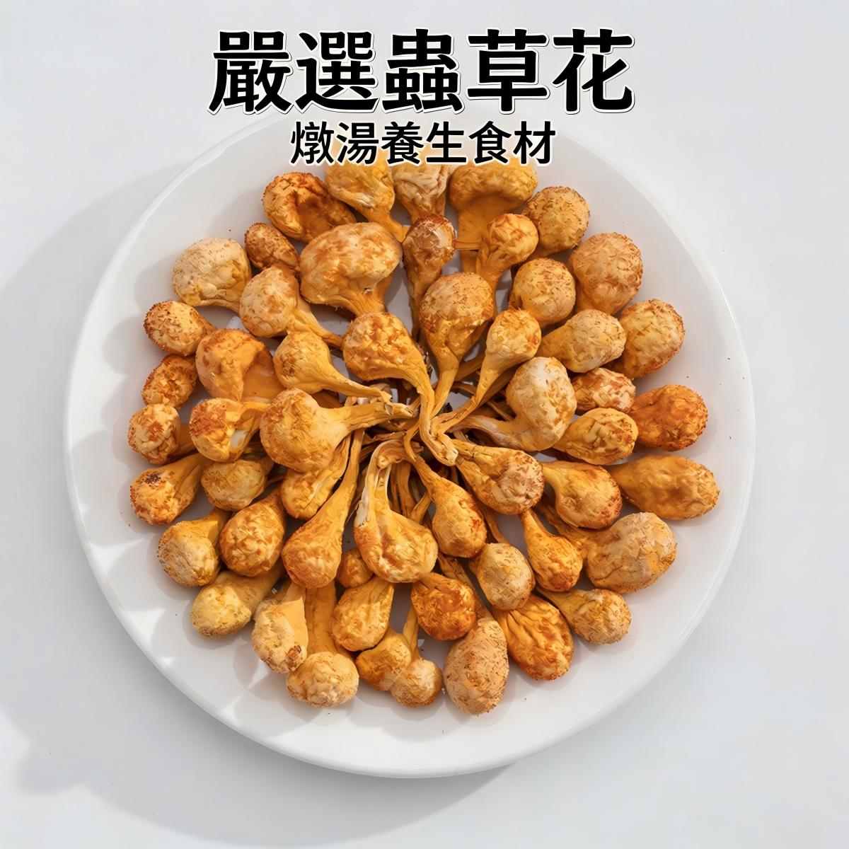 內蒙古敖漢旗蟲草花｜精品大孢子頭乾貨