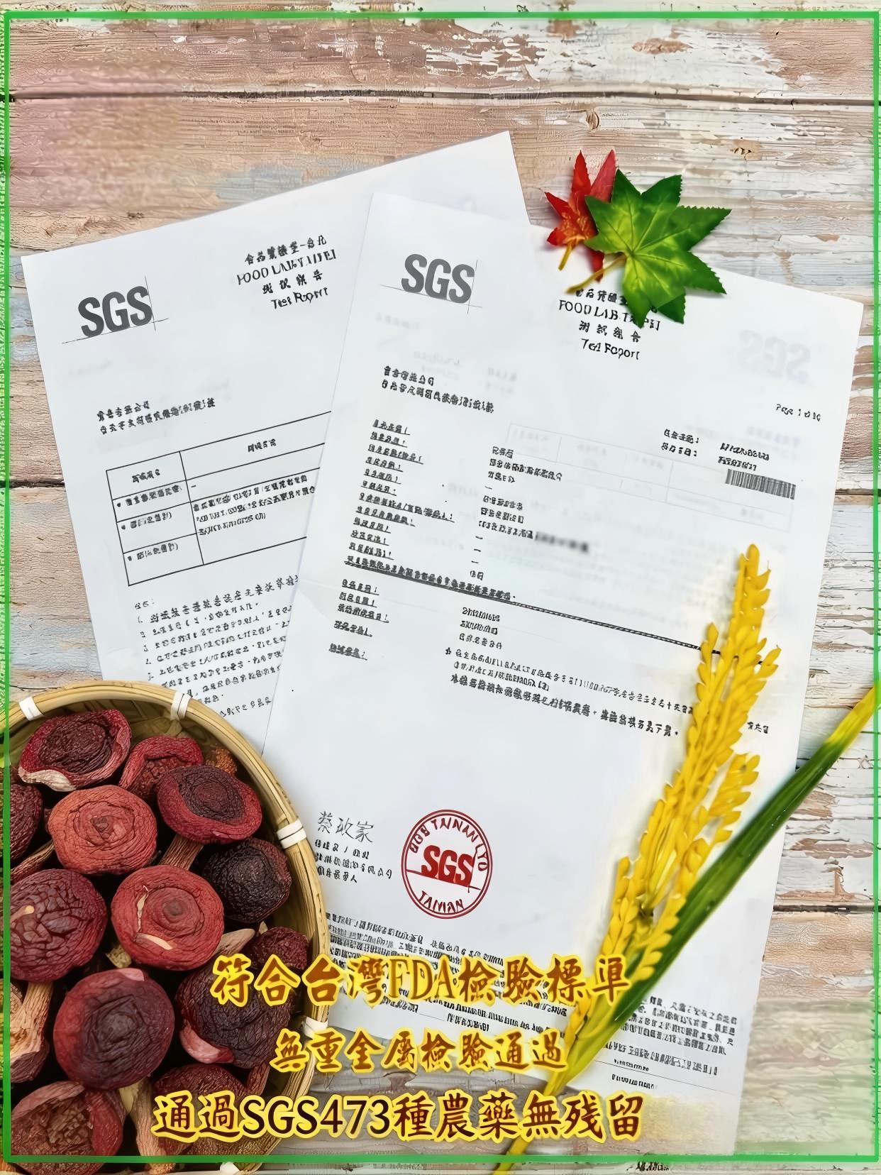 SGS 檢測報告