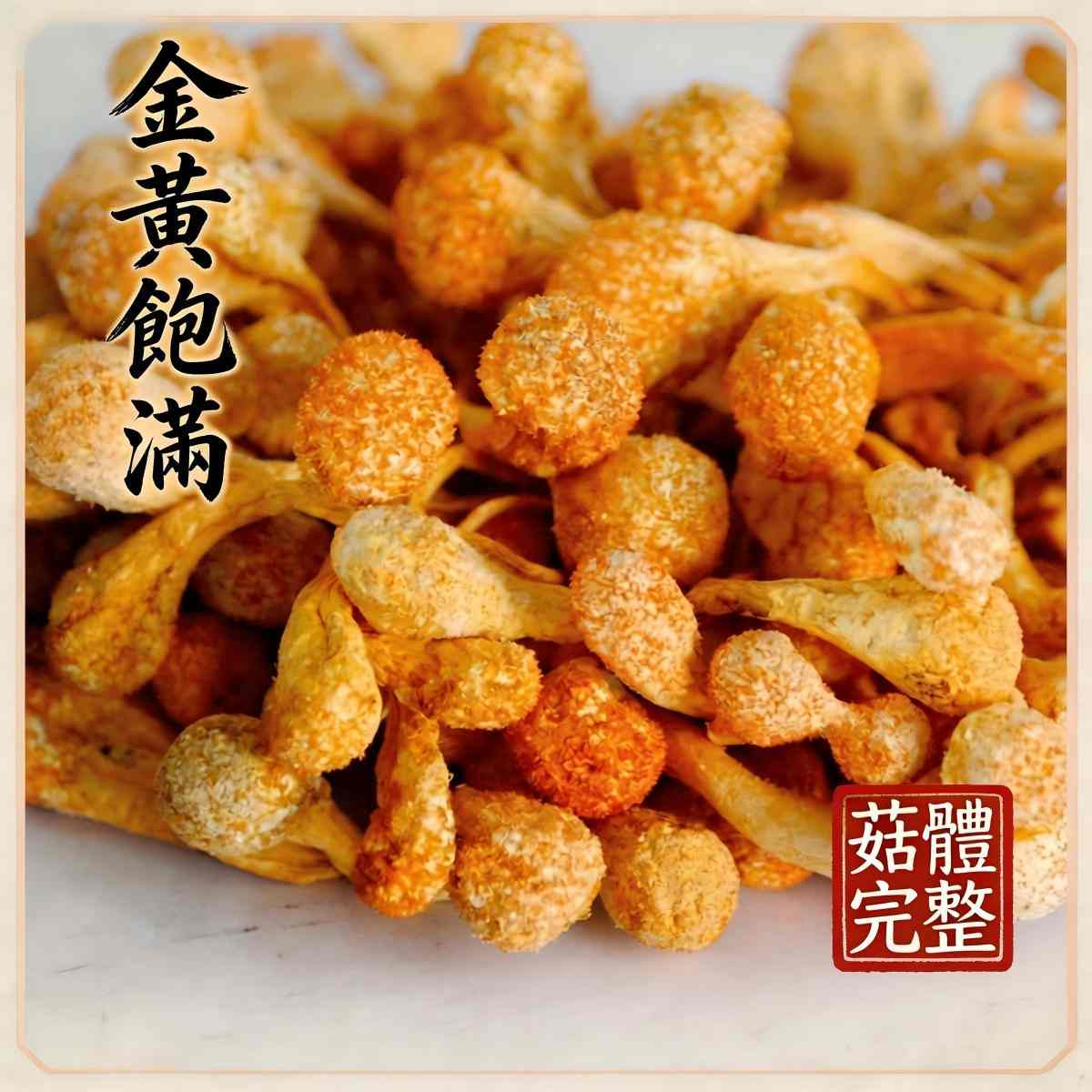 內蒙古敖漢旗蟲草花｜精品大孢子頭乾貨