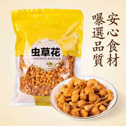 內蒙古敖漢旗蟲草花｜精品大孢子頭乾貨