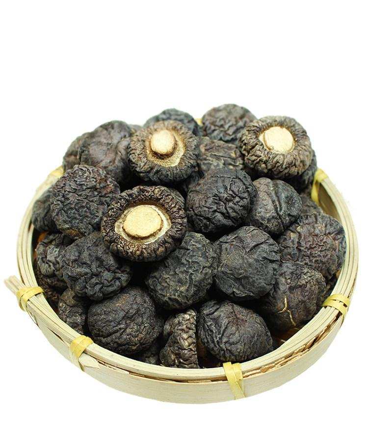 剪脚小香菇（金钱菇）｜非特级椴木冬菇，300g