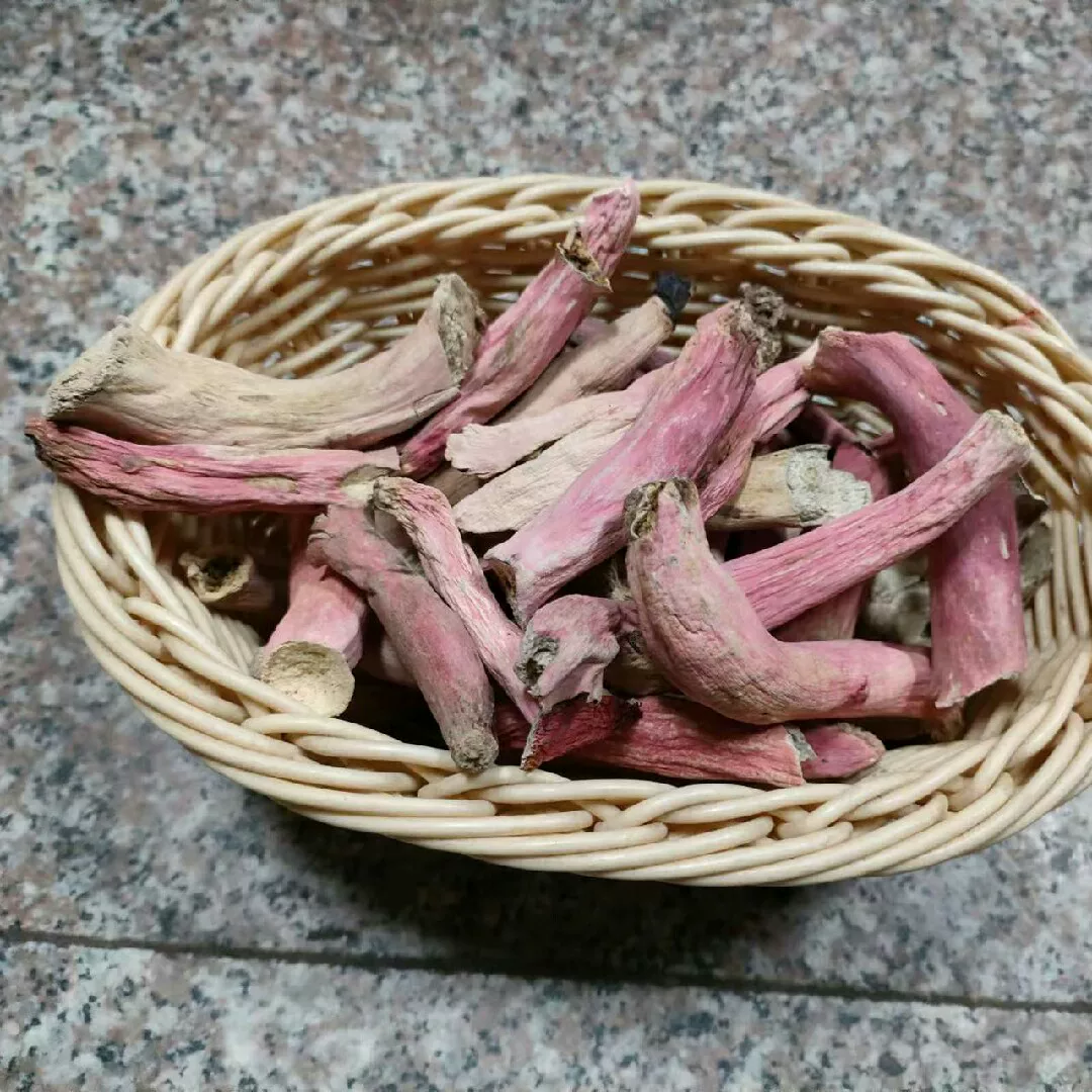 天然野生紅菇腳．溫和補養乾貨