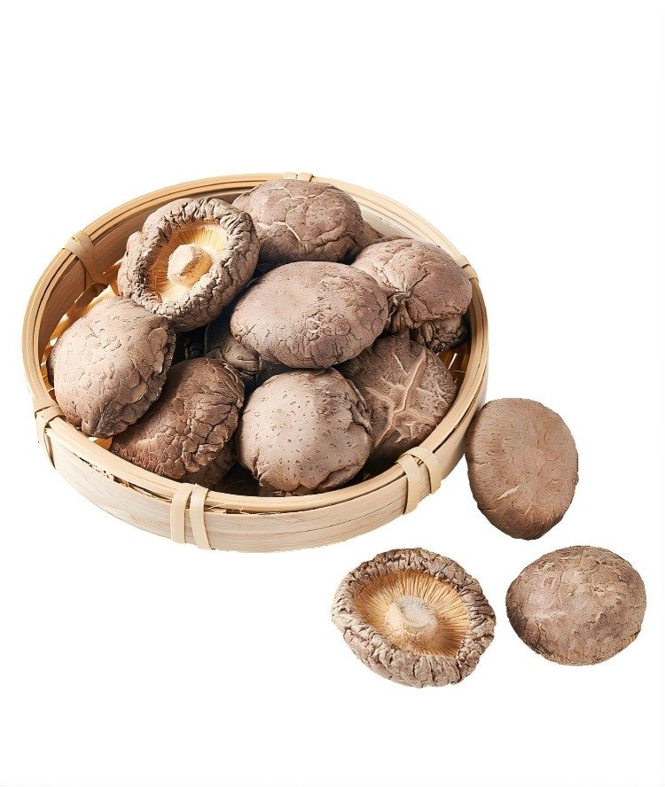 嚴選乾香菇（椎茸）｜菇香濃郁、煮湯滷味百搭（中國產）