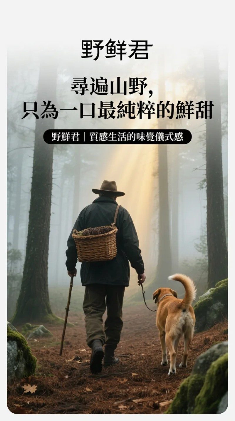 黑松露菌菇包主視覺