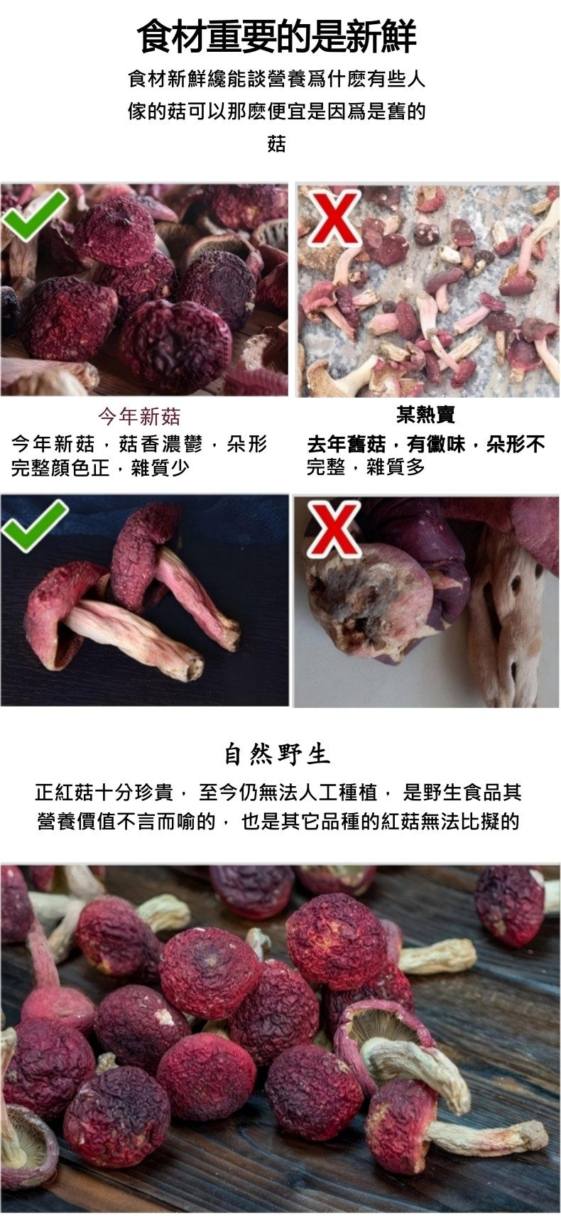 產品介紹與推薦