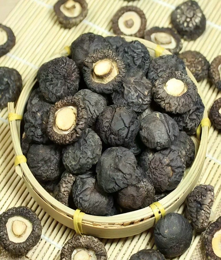 剪脚小香菇（金钱菇）｜非特级椴木冬菇，300g