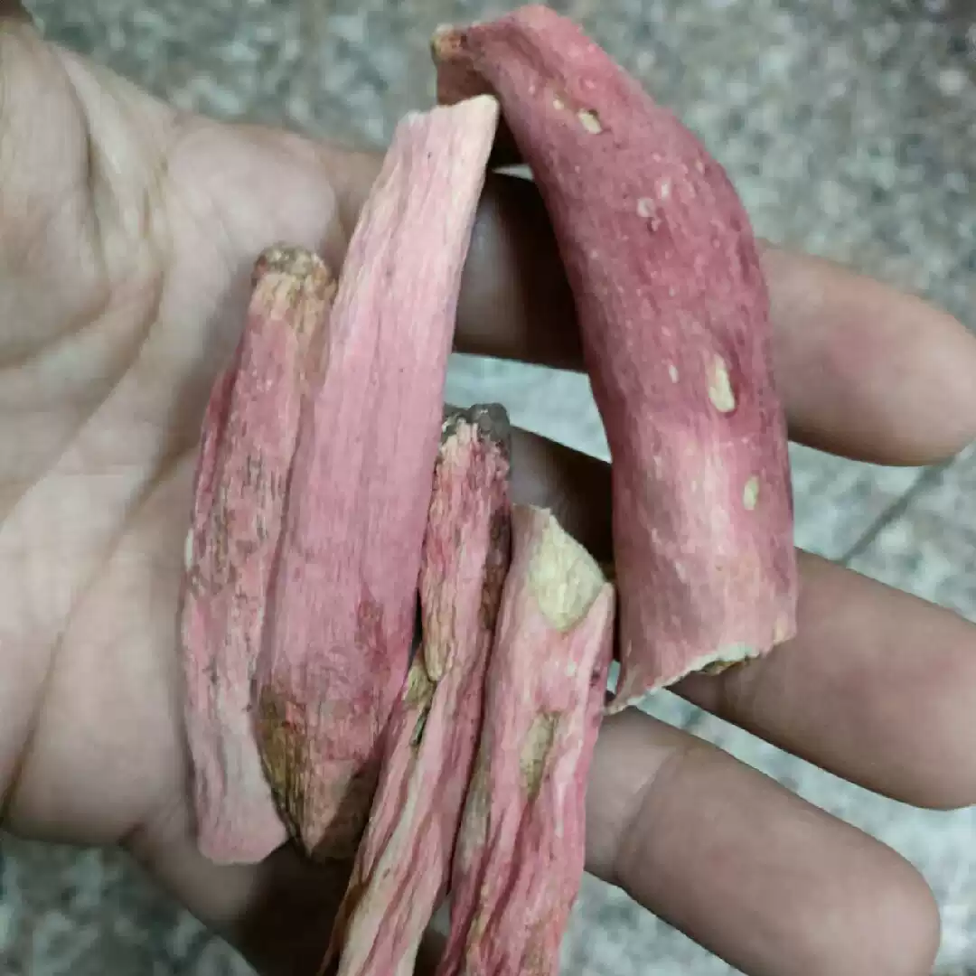 天然野生紅菇腳．溫和補養乾貨