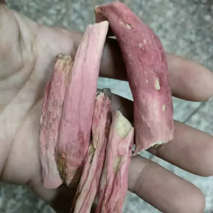 天然野生紅菇腳．溫和補養乾貨