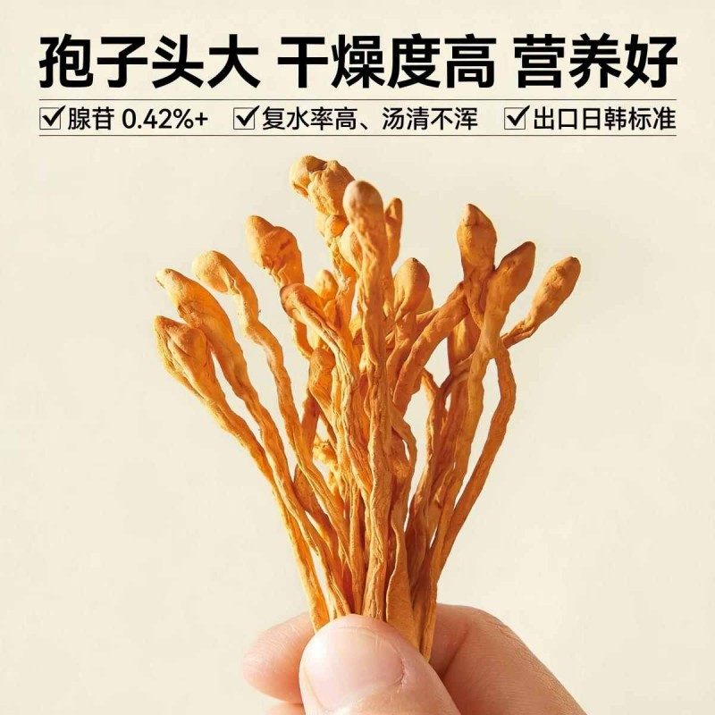 精選無硫蛹蟲草 250g｜北金蟲草孢子頭｜煲湯超鮮甜
