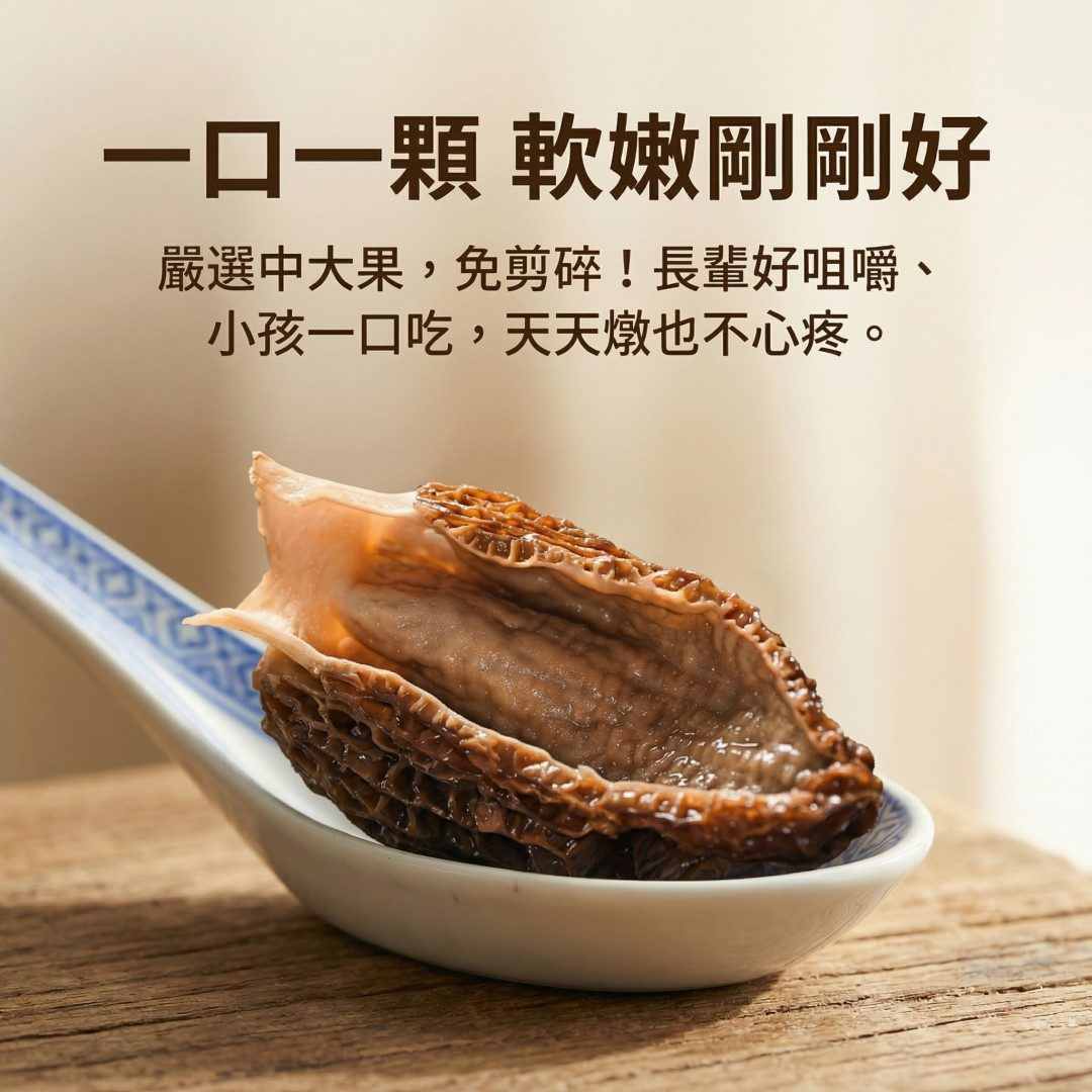 羊肚菌 天然培育 台灣兒童長輩營養食材