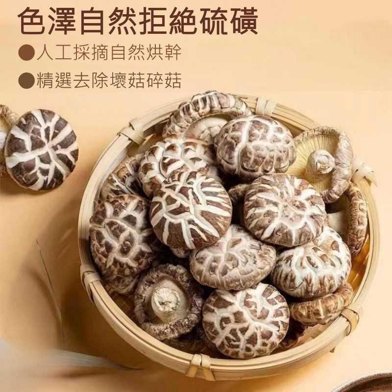 嚴選段木花菇｜冬令寒流孕育・厚實特大朵