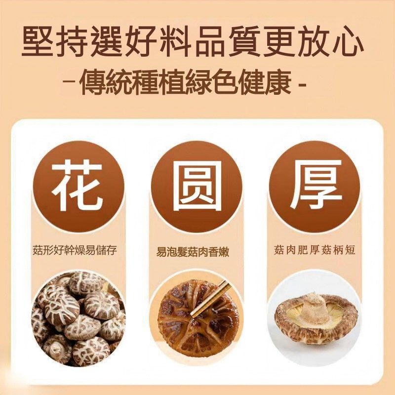 嚴選段木花菇｜冬令寒流孕育・厚實特大朵