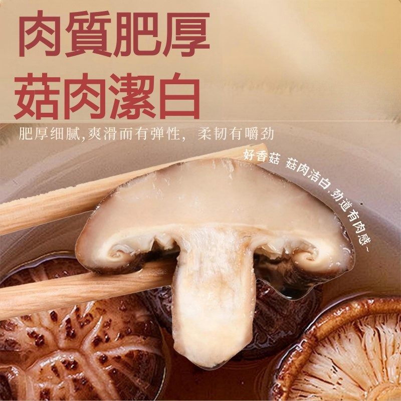 嚴選段木花菇｜冬令寒流孕育・厚實特大朵