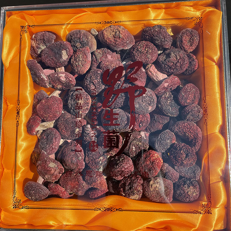 武夷山野生红蘑菇礼盒｜送礼首选