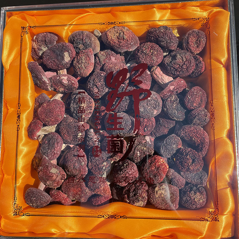 紅菇頂級禮盒 月子送禮首選 天然無硫山珍乾貨