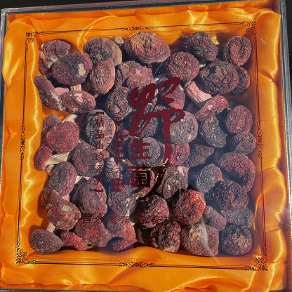 紅菇頂級禮盒 月子送禮首選 天然無硫山珍乾貨