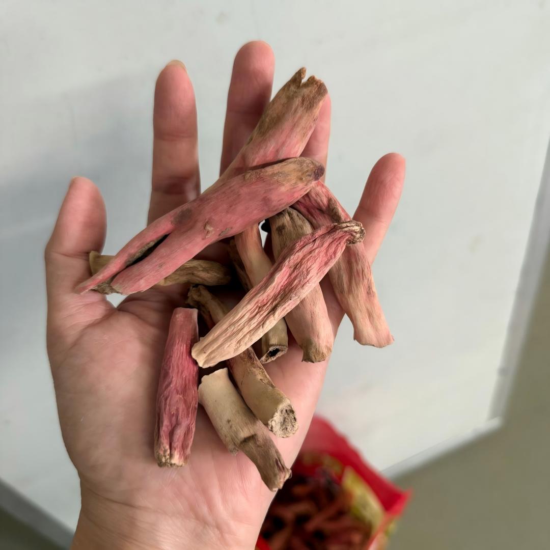 天然野生紅菇腳．溫和補養乾貨