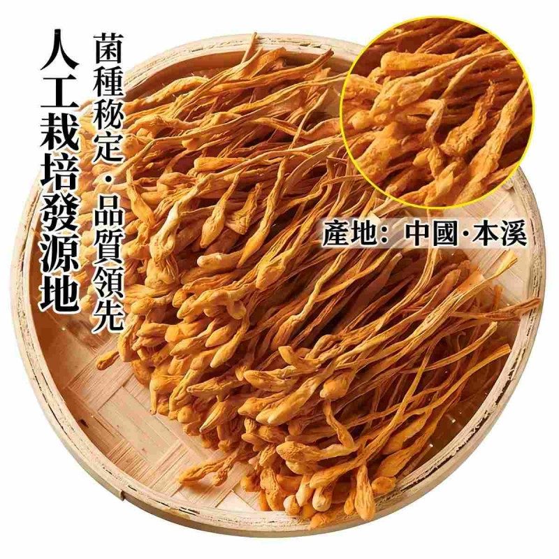 精選無硫蛹蟲草 250g｜北金蟲草孢子頭｜煲湯超鮮甜