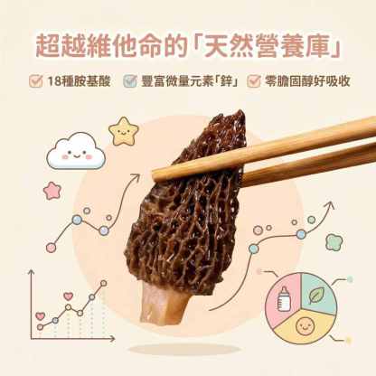 【高山農場直供】嚴選野生孕育羊肚菌（5−8cm 家庭燉補高CP款）｜兒童長輩的天然營養庫