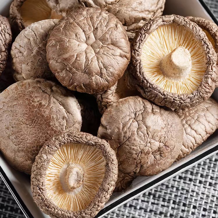 大朵台灣香菇｜特大朵厚肉冬菇