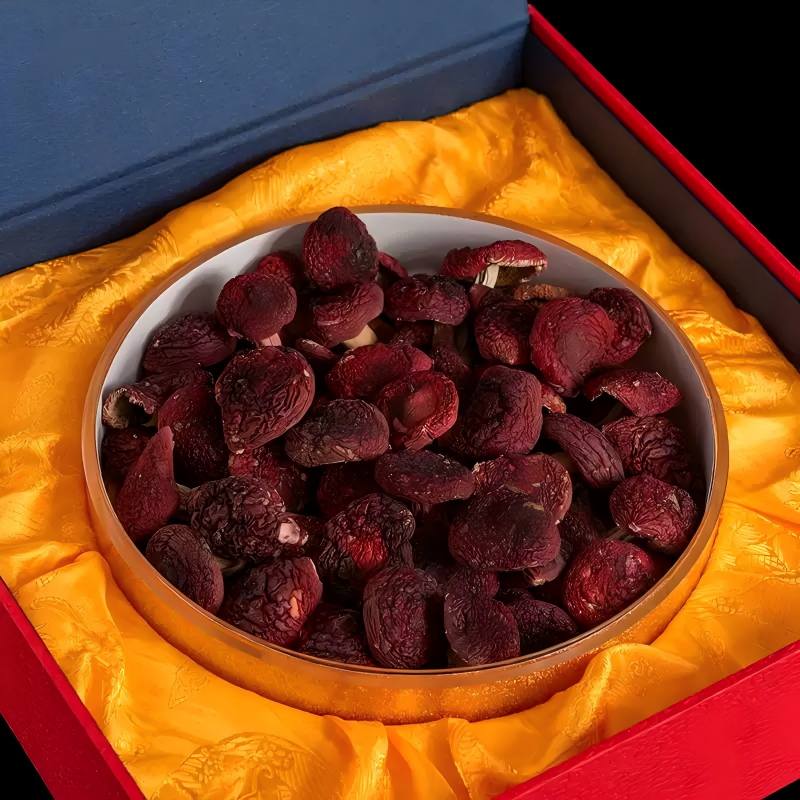 武夷山野生红蘑菇礼盒｜送礼首选