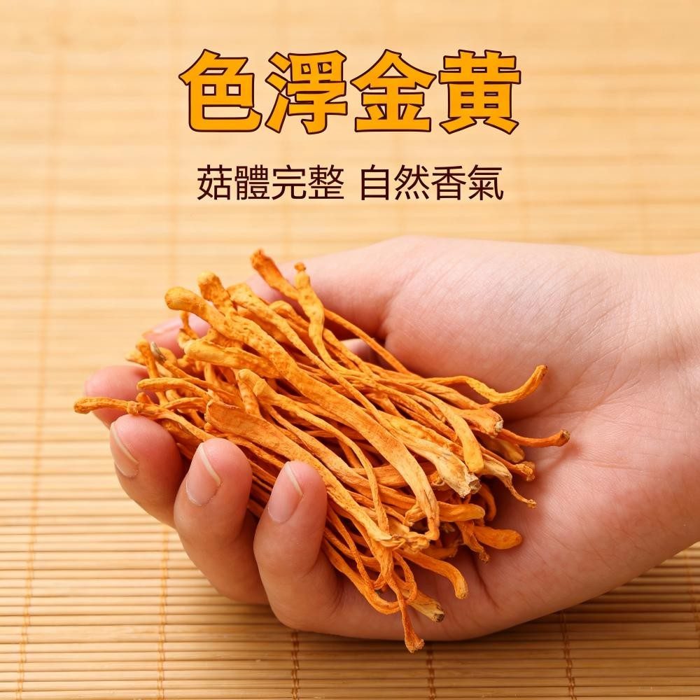 古田產 新鮮蟲草花乾貨｜無硫食用菌 燉湯泡茶皆宜