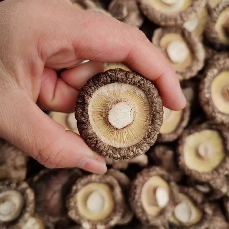 新鮮無硫冬菇（椴木香菇）｜散裝干货、煲湯最佳選擇