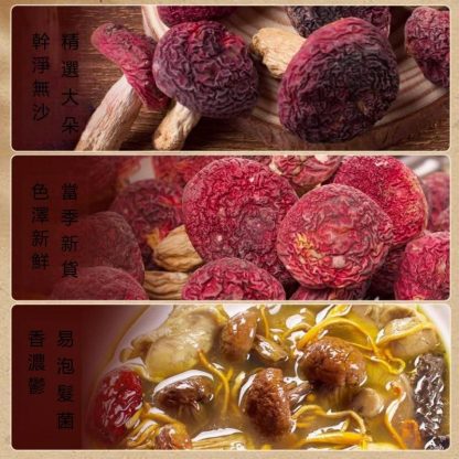 胭脂紅菇乾貨特寫 無硫無添加 新竹物流配送