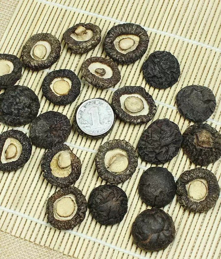 剪脚小香菇（金钱菇）｜非特级椴木冬菇，300g