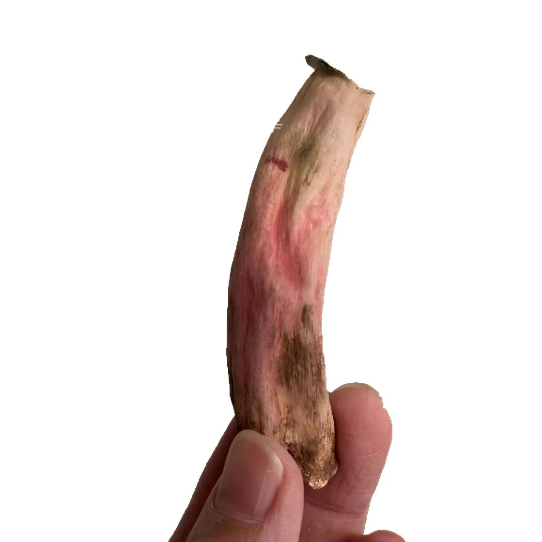 天然野生紅菇腳．溫和補養乾貨