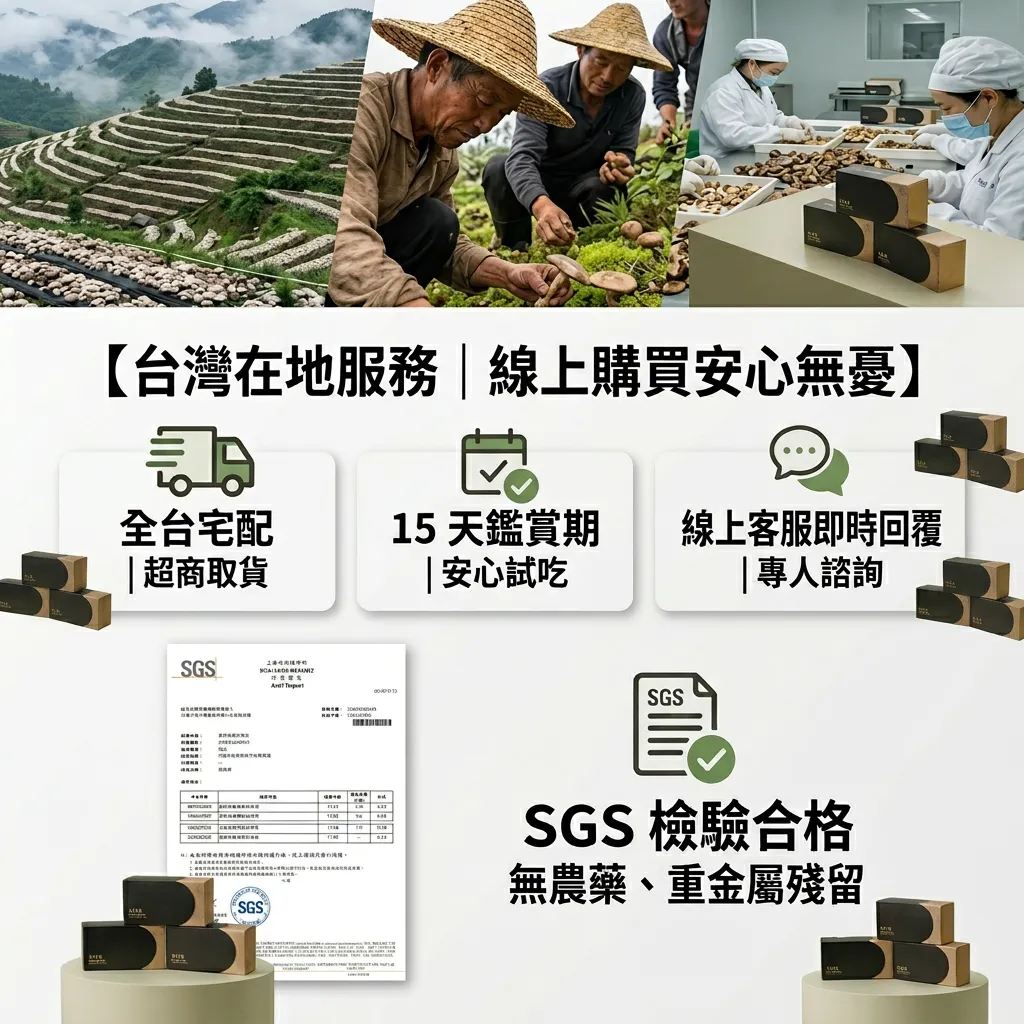 頂級黑松露十珍菌菇湯包｜嚴選大片松露與完整羊肚菌 (全素可食)