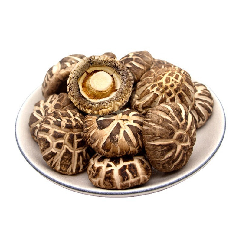 嚴選段木花菇｜冬令寒流孕育・厚實特大朵