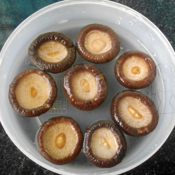 大朵台灣香菇｜特大朵厚肉冬菇