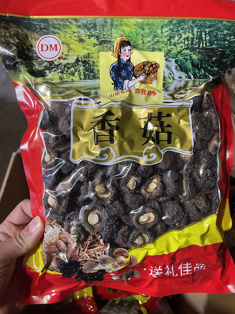 金錢菇使用情境