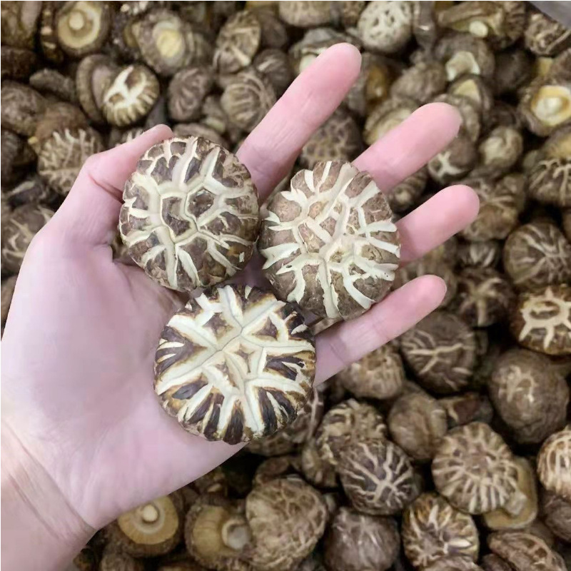 段木花菇乾貨 無硫熏 台灣料理食材