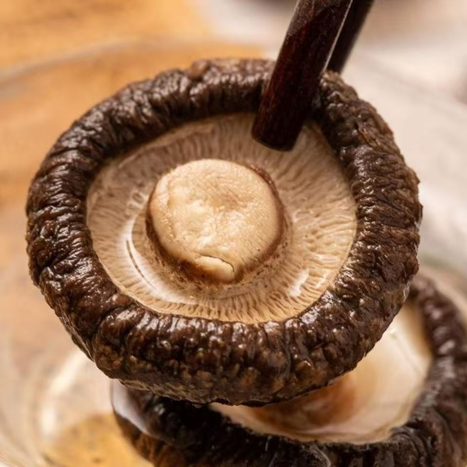 大朵台灣香菇｜特大朵厚肉冬菇