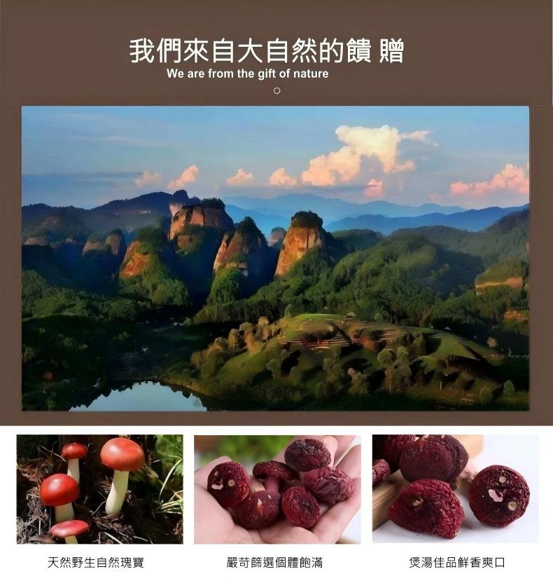 武夷山野生大紅菇