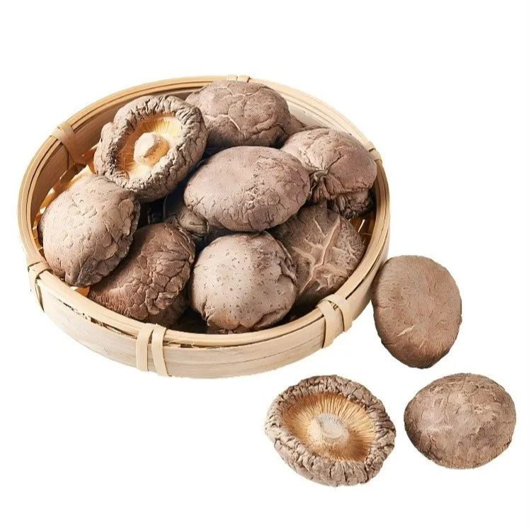 椎茸乾貨 燉湯 滷味 食材