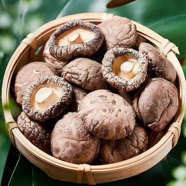 乾香菇 厚實 無硫熏 台灣料理