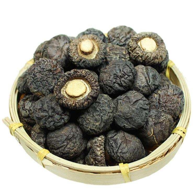 金錢菇 免剪腳 煲湯滷味 台灣食材