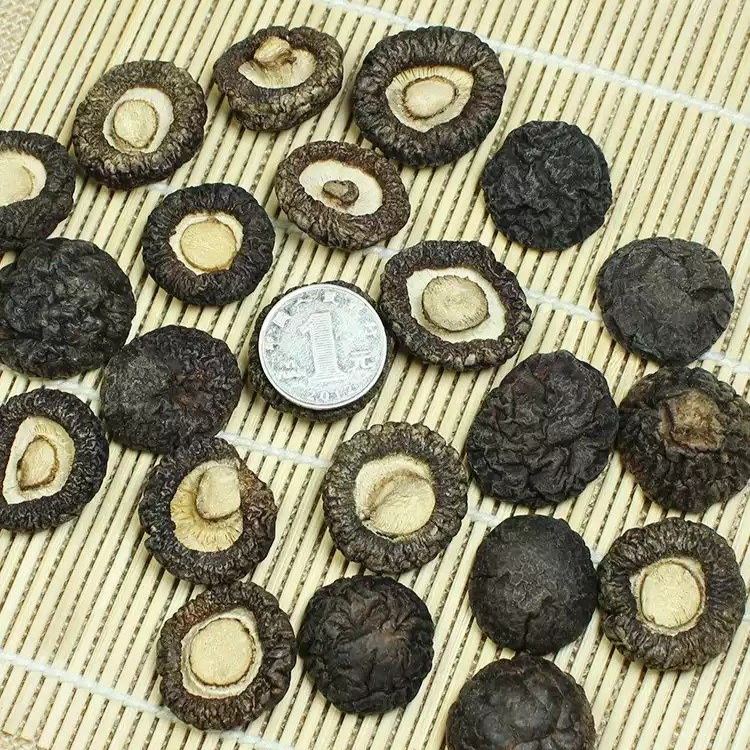 金錢菇 免剪腳 煲湯滷味 台灣食材