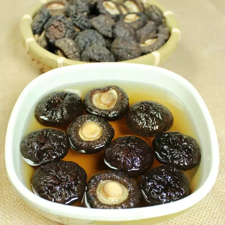 金錢菇 免剪腳 煲湯滷味 台灣食材