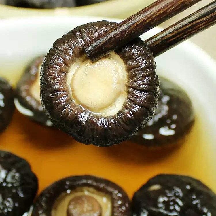 金錢菇 免剪腳 煲湯滷味 台灣食材