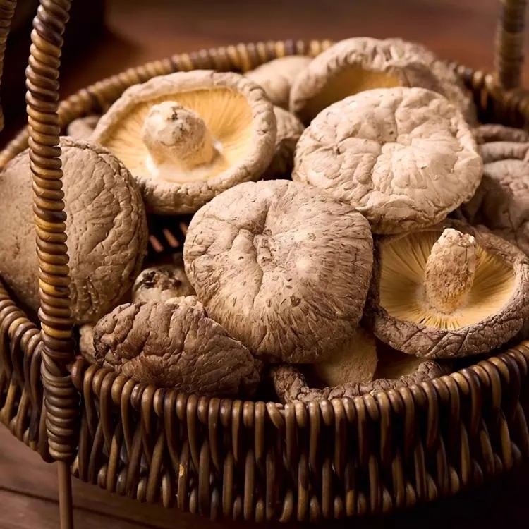 慶元農家乾香菇 500g 非特級 家常燉煮食材