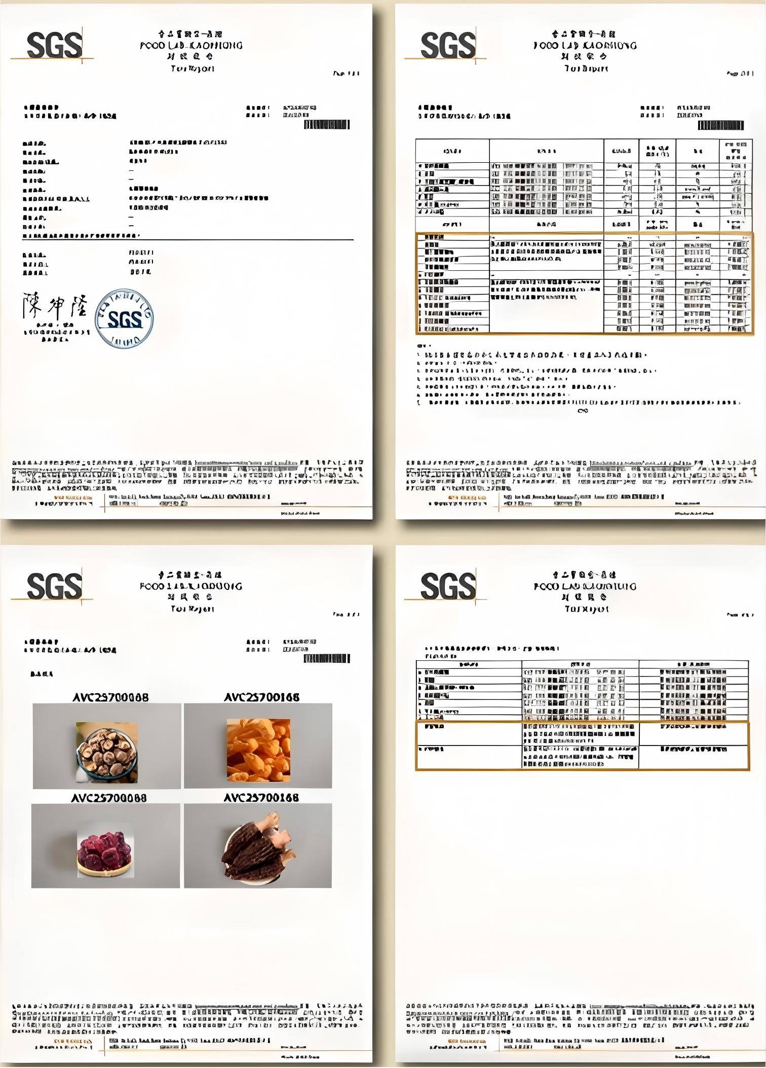 Euovie SGS 合格檢驗報告