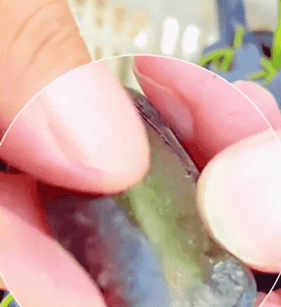 Honeycam 2024-12-31 16-43-27.gif