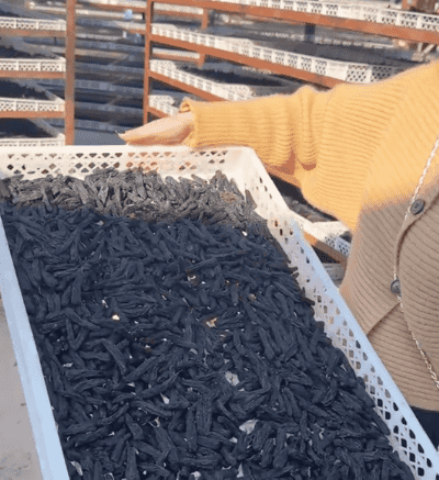 Honeycam 2024-12-31 16-42-14.gif