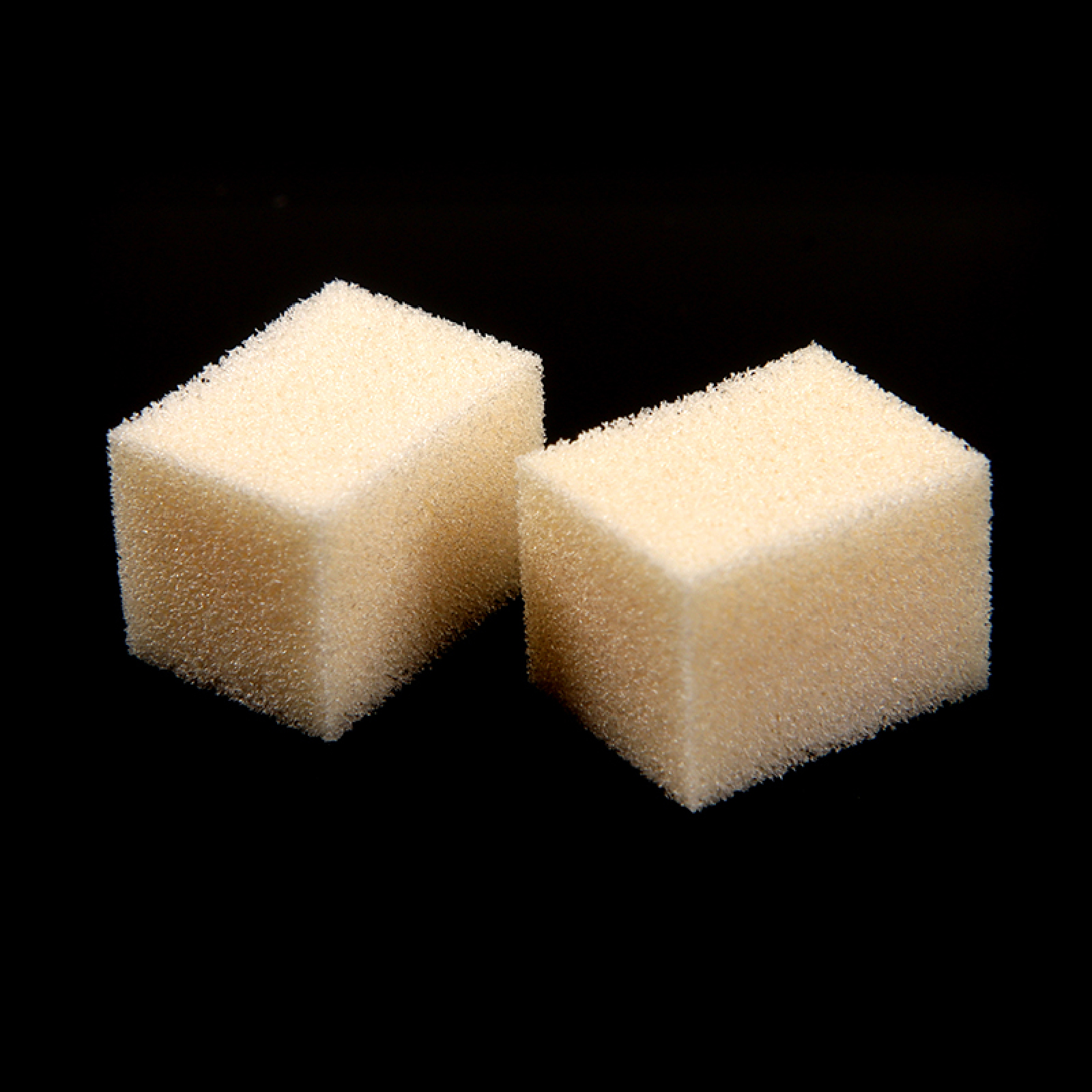 Department of Stomatology